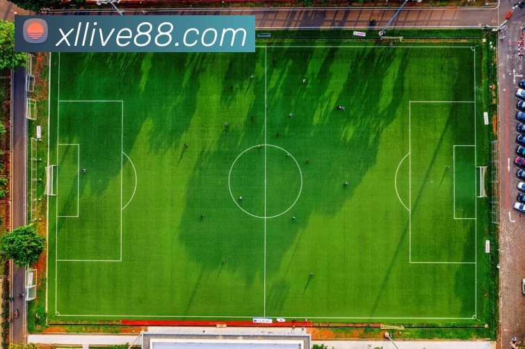 多媒体互动体验